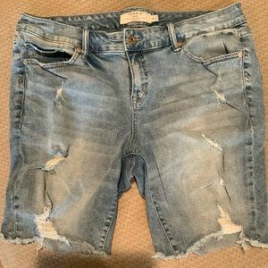 Torrid size 18 distressed bermuda shorts
